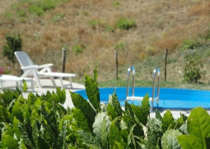 Casa Vacanze La Venarella Sorano  Kamer foto